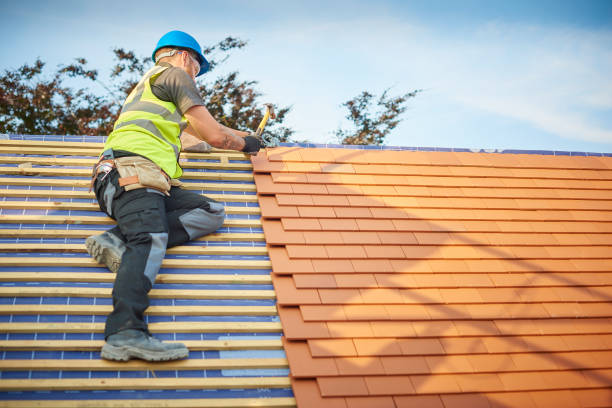 Roof Insulation